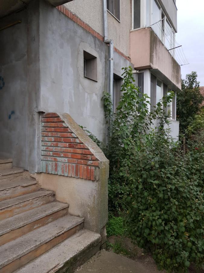 La Zoli *